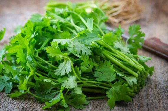 جعفری تازه
