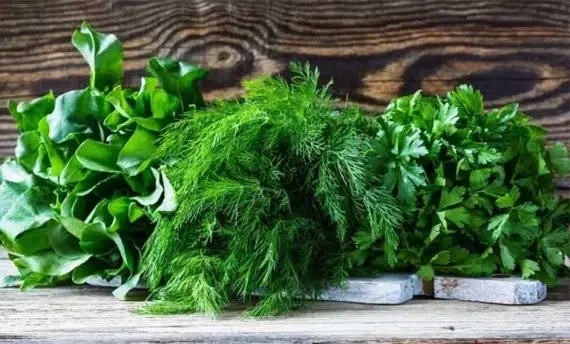 سبزی قرمه